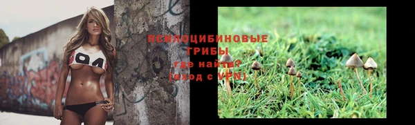 мяу мяу мука Нязепетровск