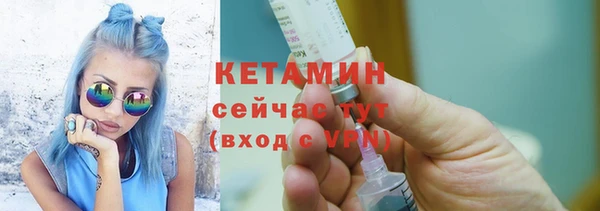 хмурый Няндома