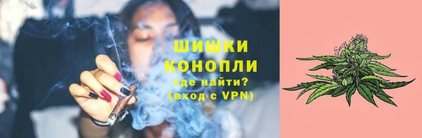 твердый Нягань