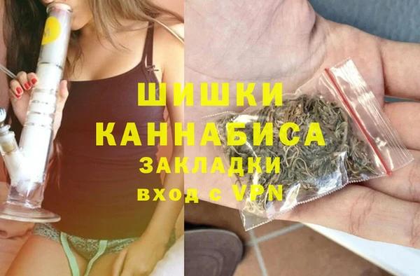 твердый Нягань