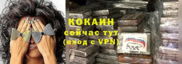 хмурый Няндома