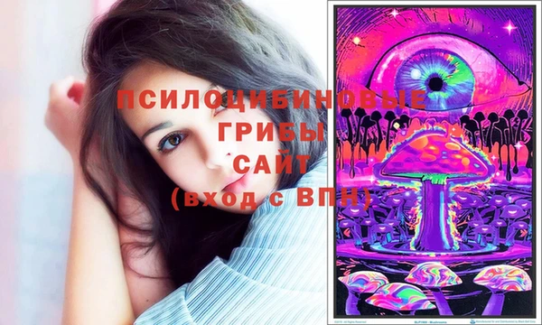 твердый Нягань