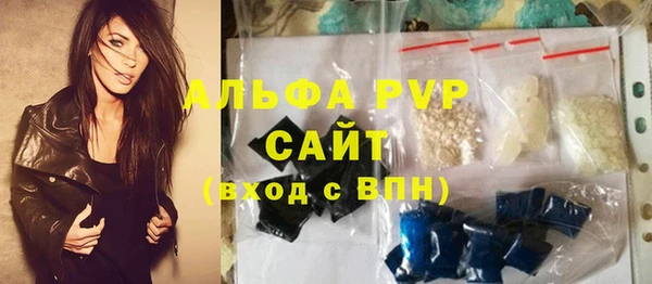 хмурый Няндома