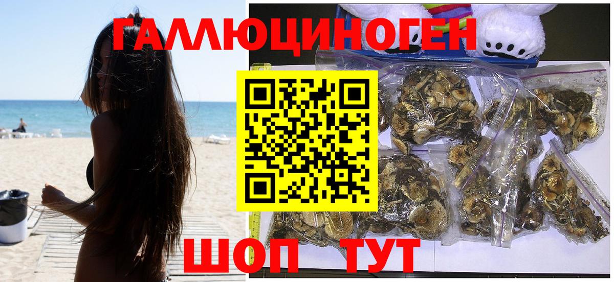 Псилоцибиновые грибы мицелий Коммунар
