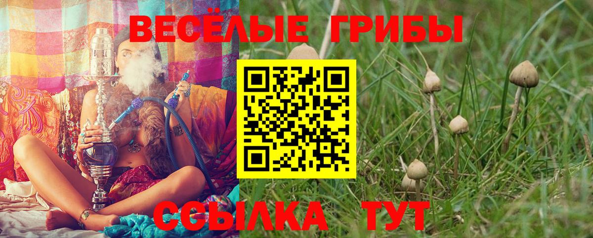 Псилоцибиновые грибы ЛСД Коммунар