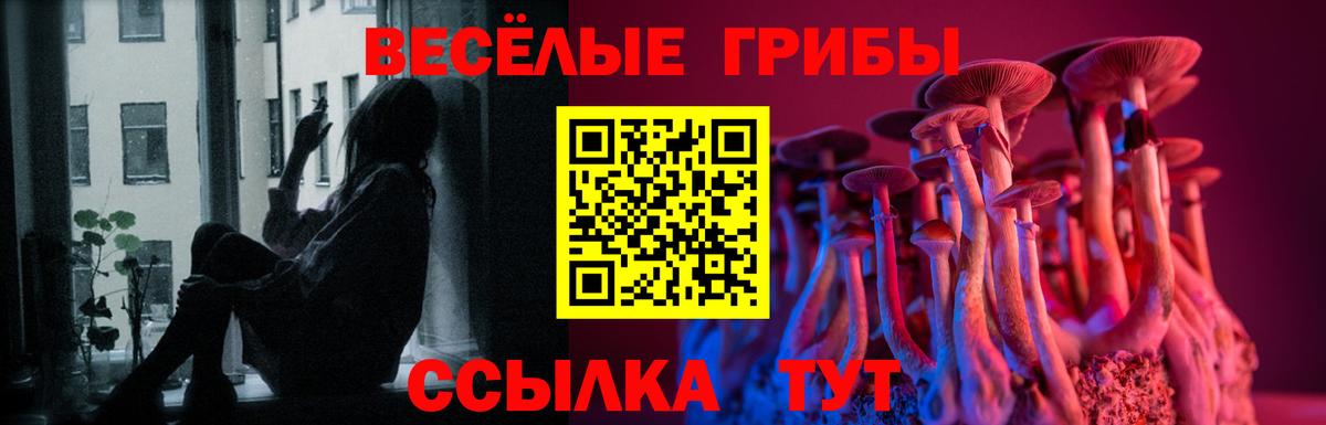 Псилоцибиновые грибы Psilocybine cubensis  что такое наркотик  Коммунар 